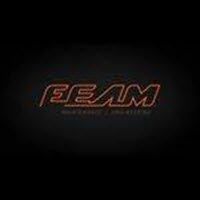 FEAM - Maintenance and Engineering jobs